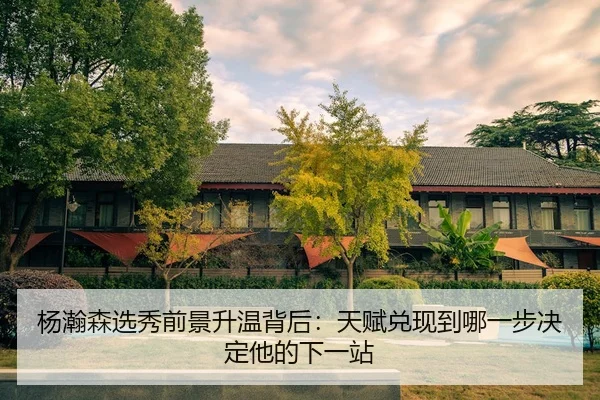 杨瀚森选秀前景升温背后：天赋兑现到哪一步决定他的下一站 - 新闻资讯相关文章缩略图